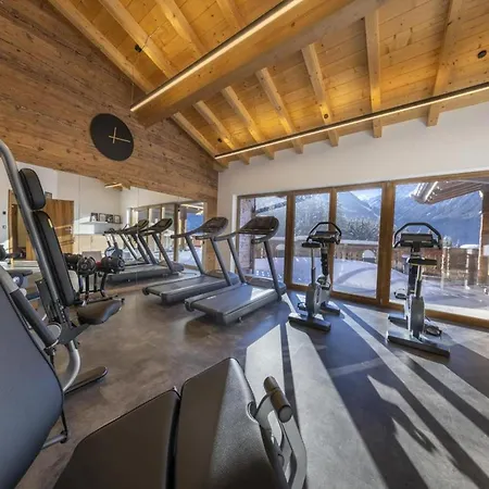 Domek alpejski Near Arena Wildkogel