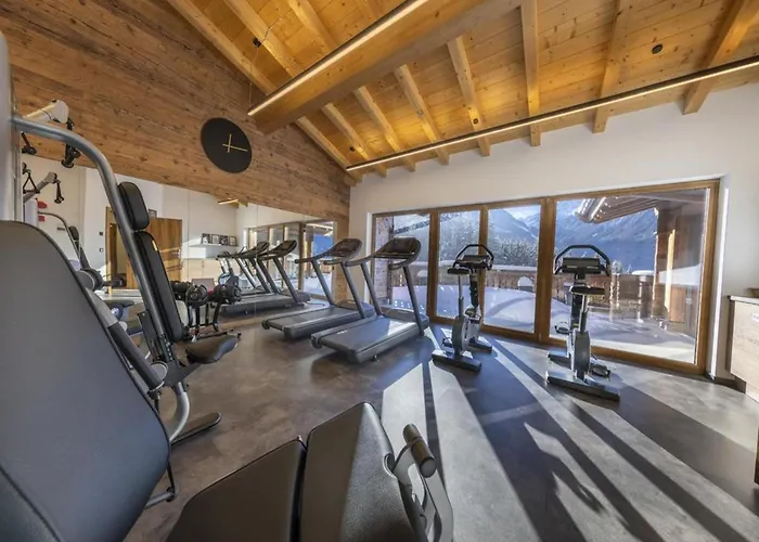 Chalet Near Arena Wildkogel